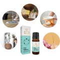 Olejek zapachowy Aroma House One Million - 10 ml - zdjęcie 5